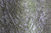 Old Bridge Of Tilt fibreglass roof work